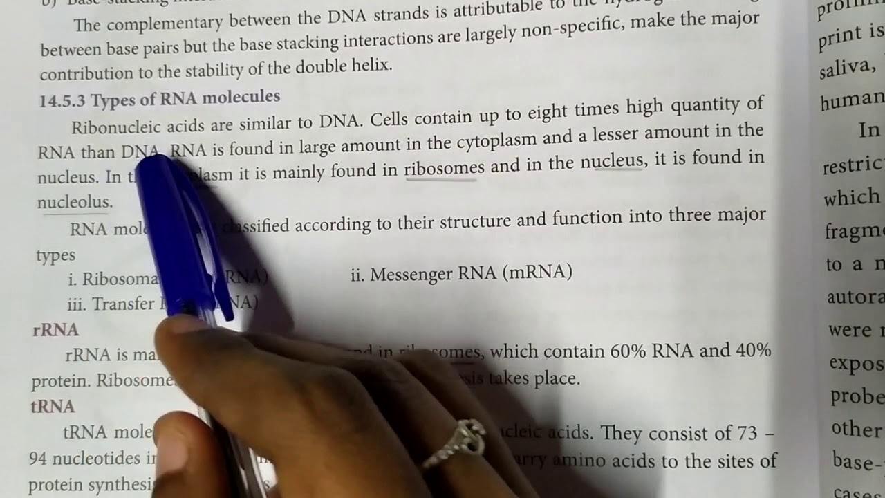 Types of RNA... 12th chemistry... Biomolecules in  தமிழ்... 🙂