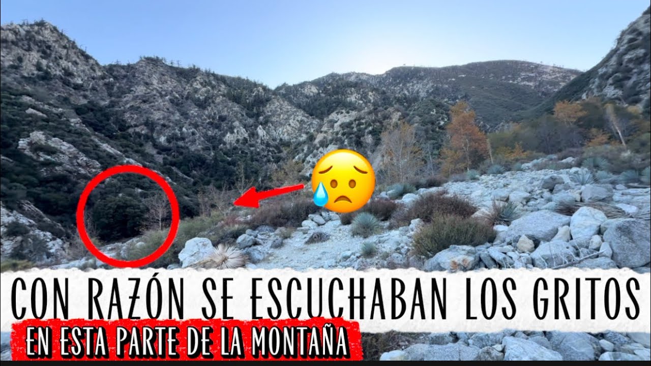  Con razón se escuchaban gritos en esta montaña 
