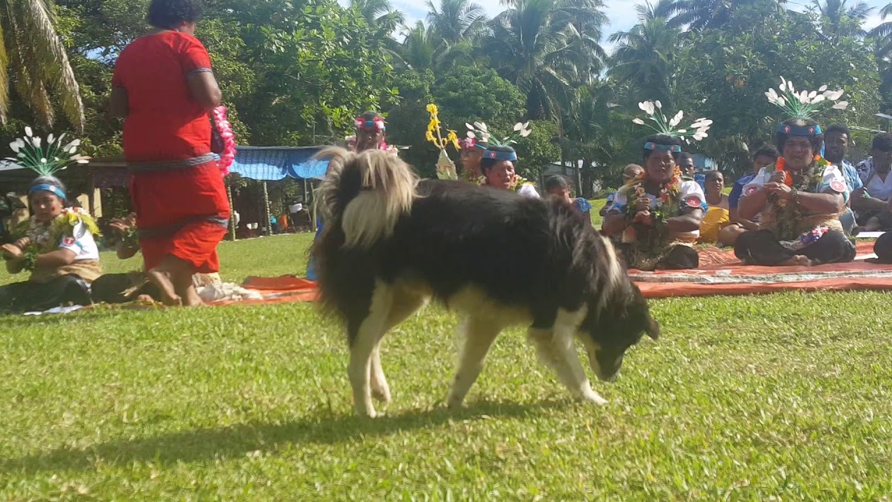 Make Ni Tuvakaikoya ko Viti