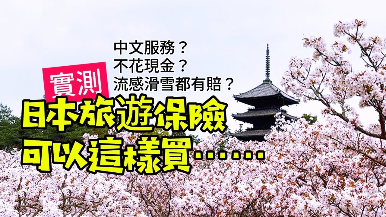 日本旅遊保險網上投保流程實測｜東京海上日動保險｜導醫｜翻譯｜ 現金代付｜流感理賠｜受傷理賠