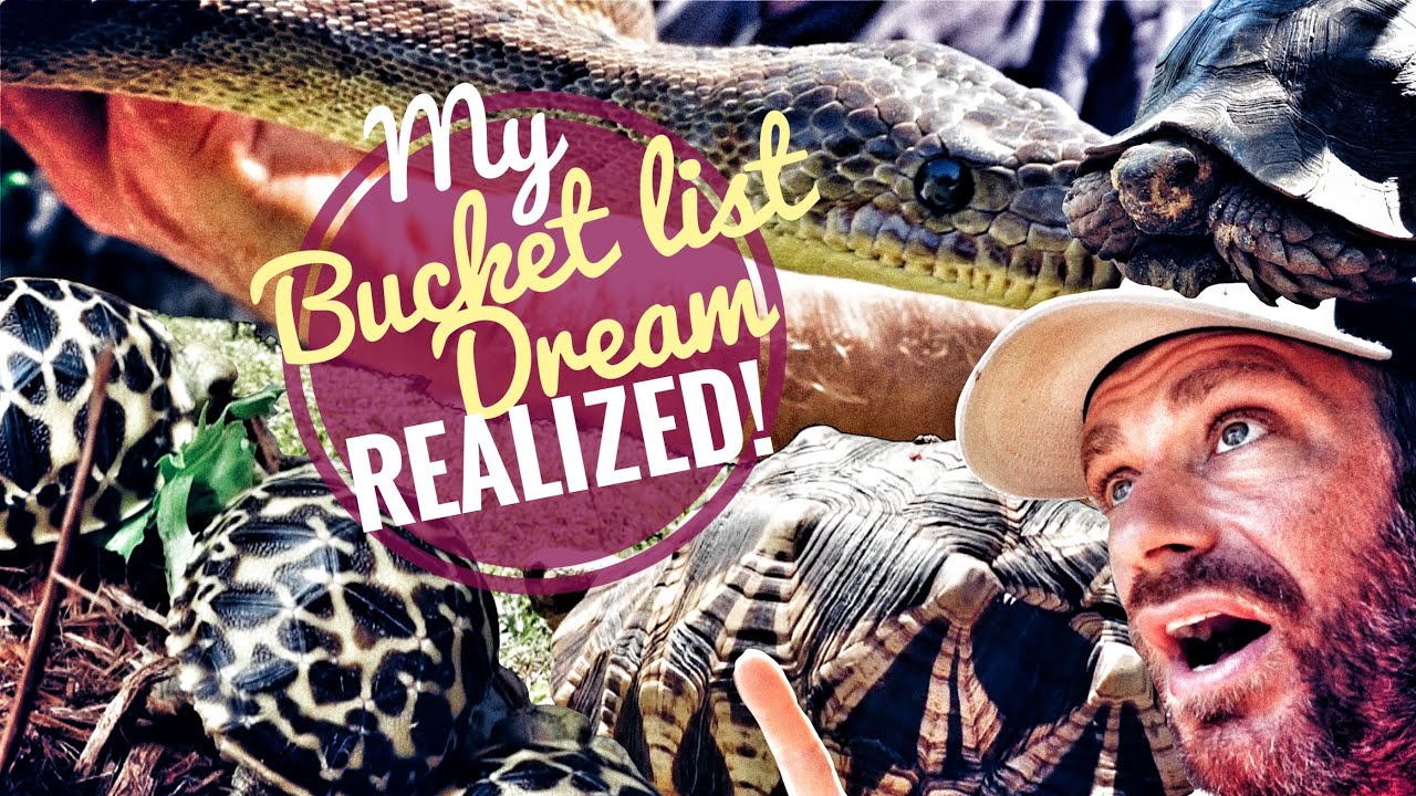 Got My BUCKET LIST TORTOISE the Burmese Star!