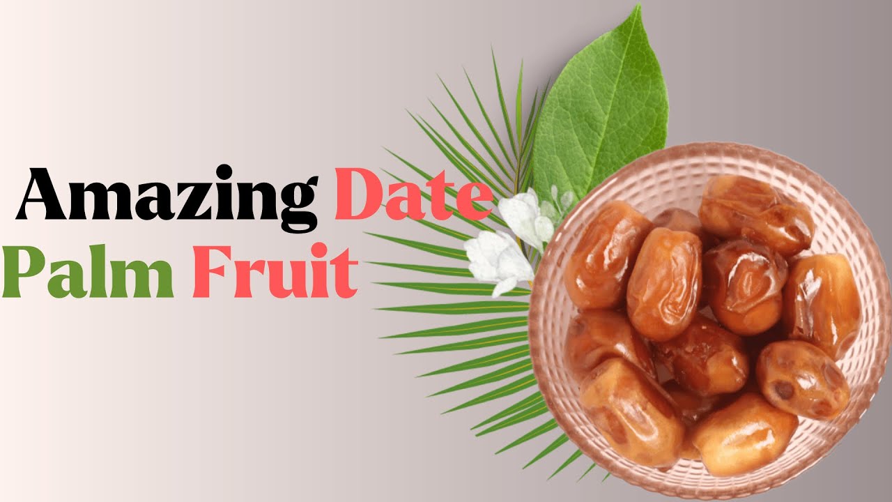 Discover the AMAZING Date Palm Fruit Benefits!