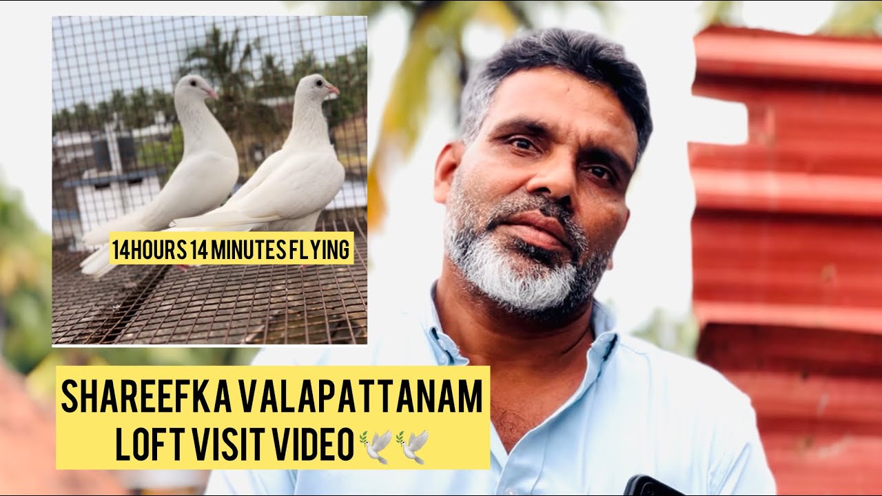 കണ്ണൂർ സുൽത്താൻ ശരീഫ് വളപ്പട്ടണം ലോഫ്റ്റ് / LOFT VISIT VIDEO SHAREEF വളപട്ടണം #loft #visit #video 
