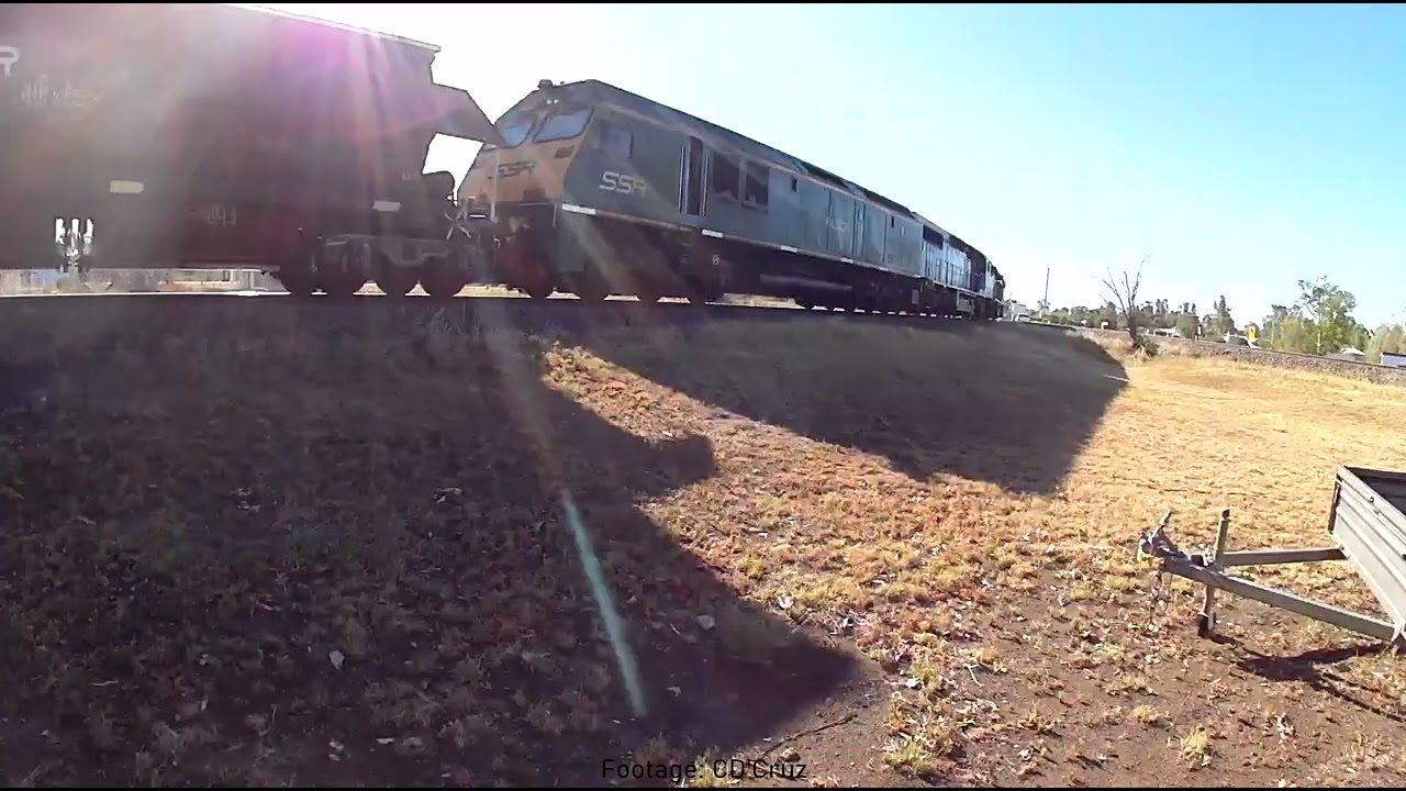 2 C's elephant style SSR Narrabri West