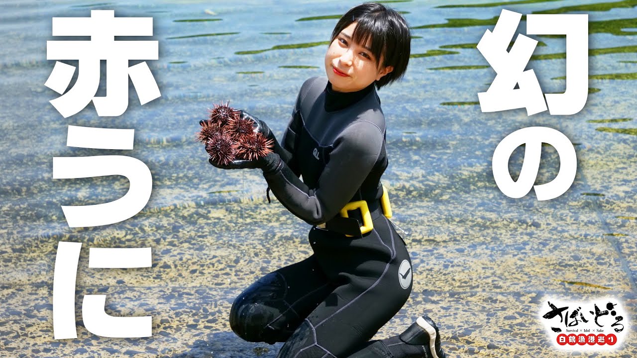幻の赤うにを求め、かほなんが伝説の海士と海に潜る！【白鶴漁港巡り 佐賀県編】