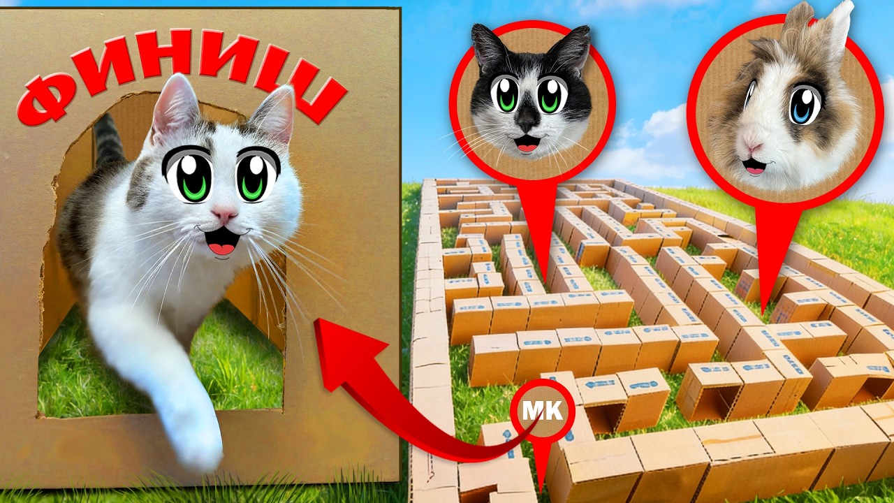 Построили Гигантский КАРТОННЫЙ ЛАБИРИНТ ! Челлендж для котов Малыша, Мурки