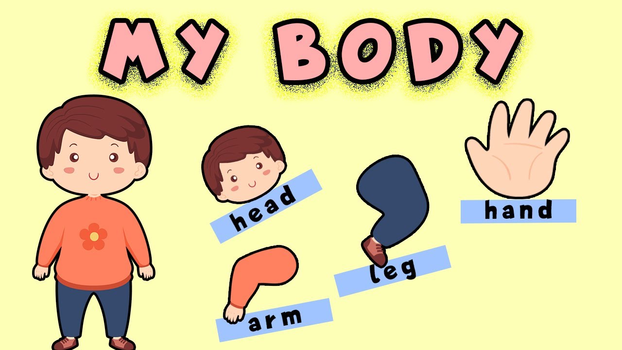 My Body | Körperteile | Englisch Lernen Kinder | Mein Körper |  Englisch lernen Grundschul