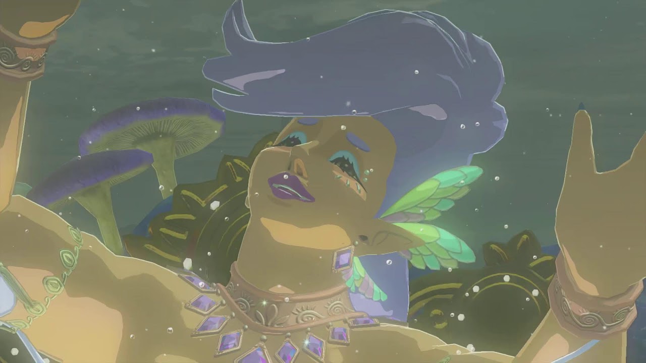 THE LEGEND OF ZELDA TOTK | 14