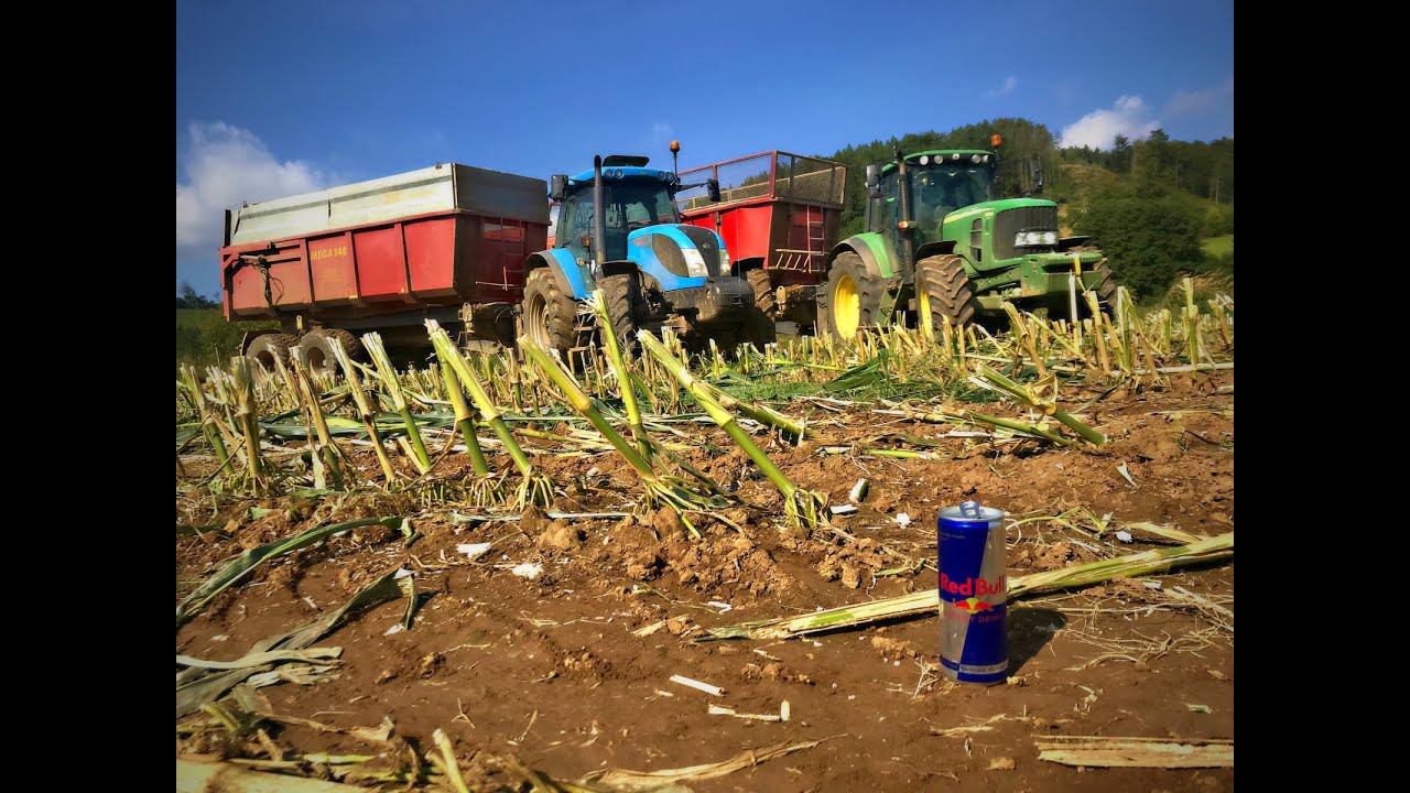 SILAGE 2021 { Claas jaguar}{John deere}