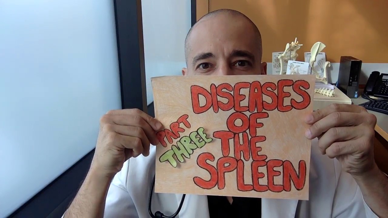 Surgical Spleen Pt. 3:  Splenectomy Aftercare and Prognosis