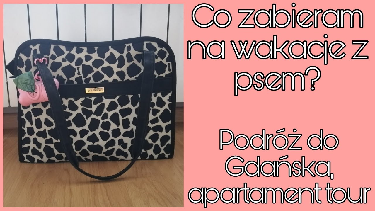 Co zabrać nad morze dla psa?🏖️ | podróż do Gdańska