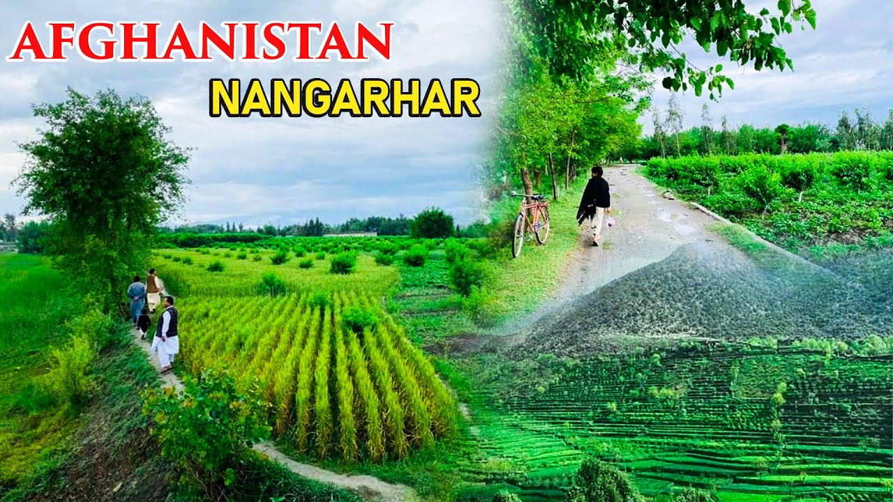 Afghanistan | Travel to Nangarhar | Beautiful green area | Mountains rivers  | 4k