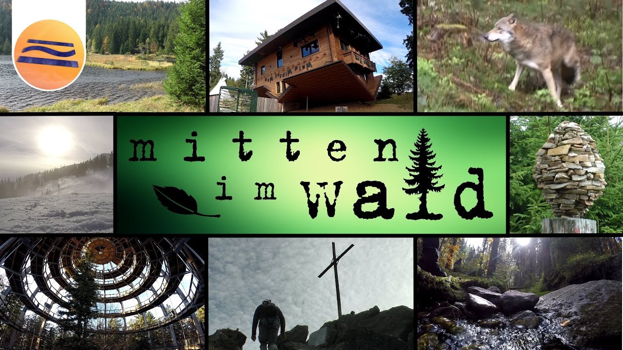 Bayerischer Wald | Urlaub in der Natur | Mitten im Wald