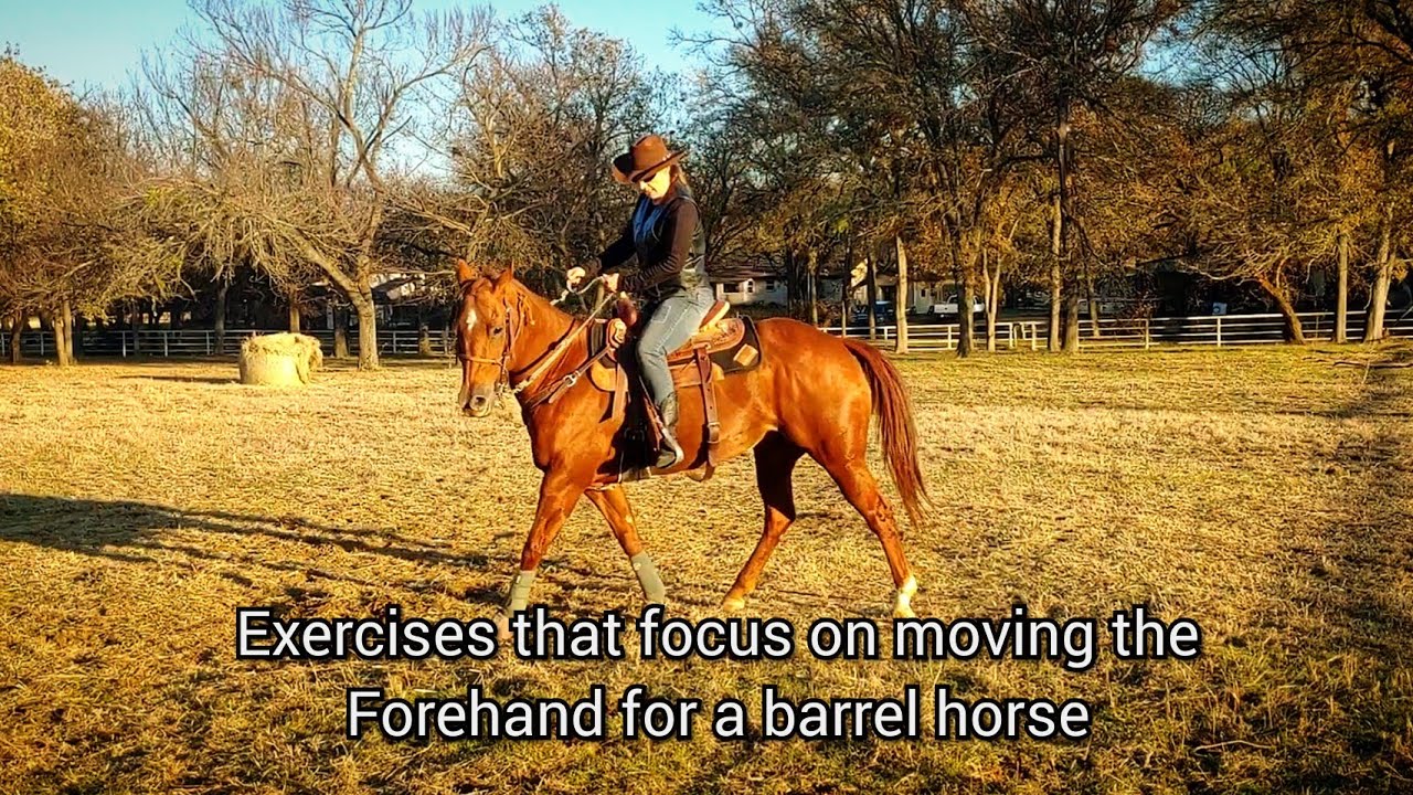 Exercises that focus on moving the shoulders for a barrel racing mare stiff on the forehand