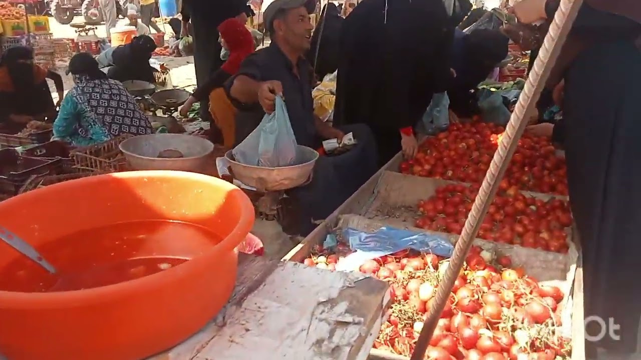 سوق الأحد وأسعار الفكه والخضار والسمك 17 /9/ 2023