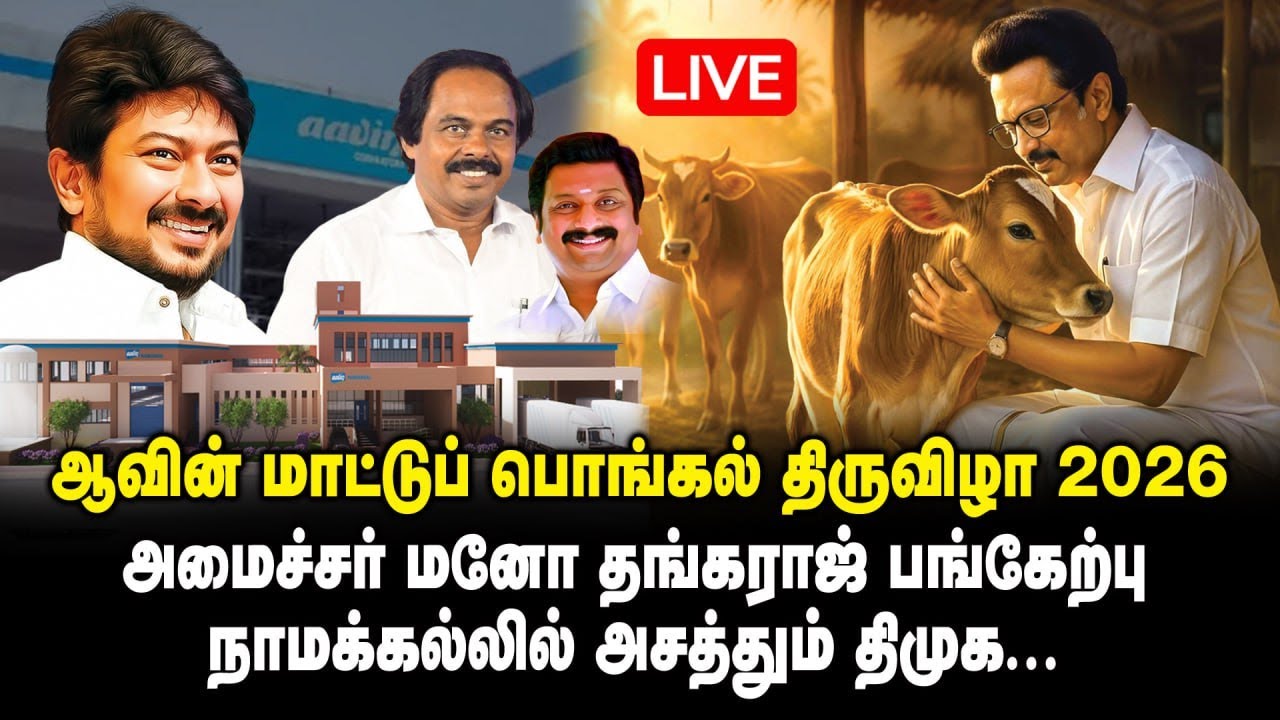 🔴 LIVE : ஆவின் மாட்டுப் பொங்கல் திருவிழா 2026 | அமைச்சர் மனோ தங்கராஜ் பங்கேற்பு | NamakkalDMK