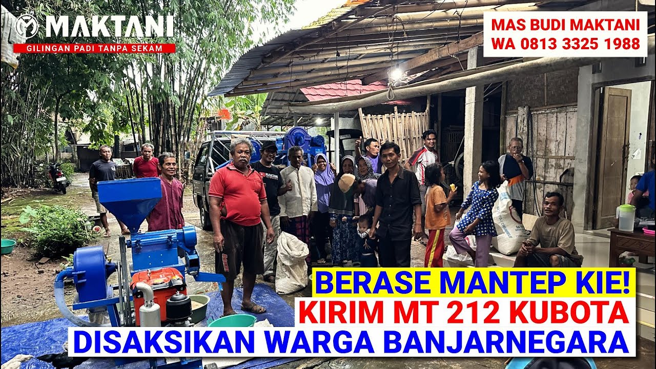 Hasil Berase Apik Tenan Kie! MAKTANI MT212 Kubota Kirim Ke Banjarnegara Tanpa Sekam & 1 Kali Proses