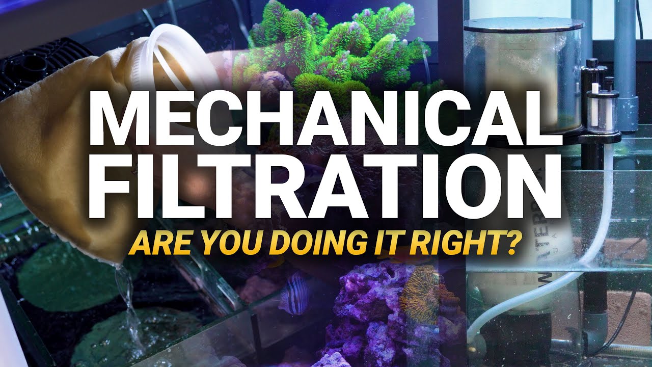 Reef Filtration Starts Here: Mechanical Filtration Explained.