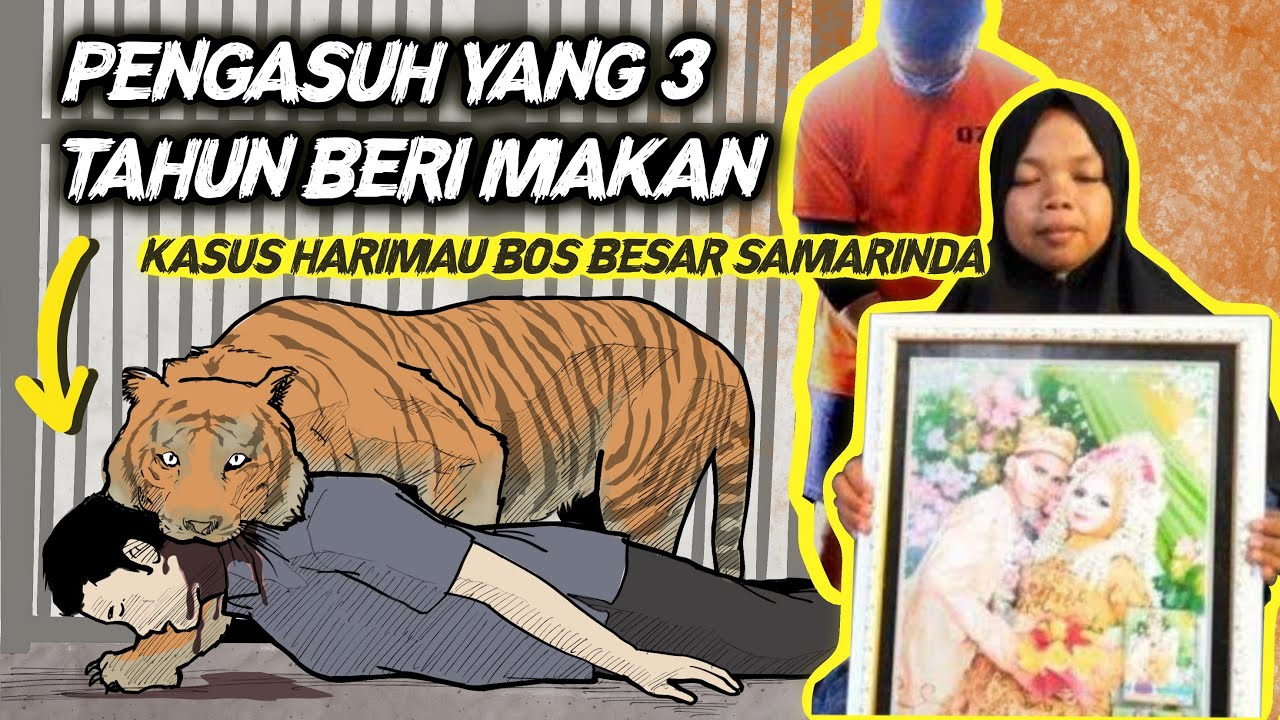 ART yang Malang, Kalau Mau Kerja di Gym, Harus Mau Beri Makan Harimau! - Kasus Harimau Bos Samarinda