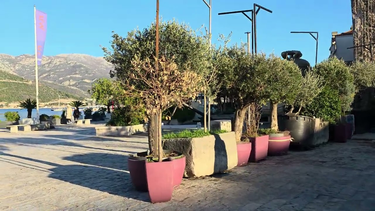 12 января 2026 г.