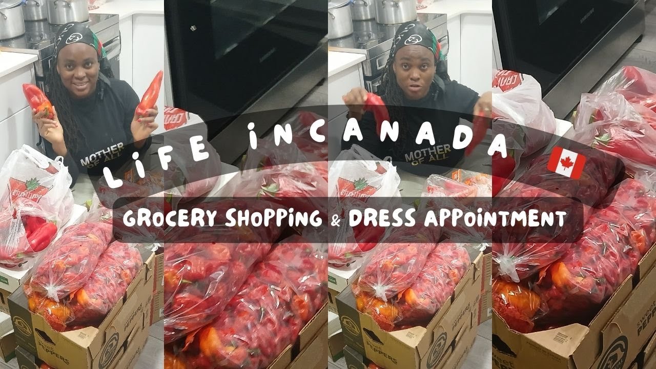 Life in Canada for Newcomers 🇨🇦 | Grocery Runs & Dress for Success for Professional Women
