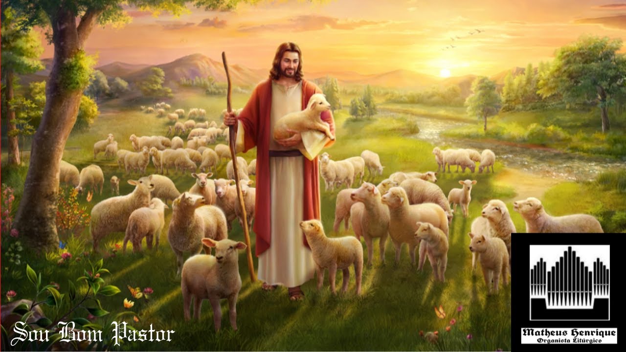Sou Bom pastor - Canto de Ofertório