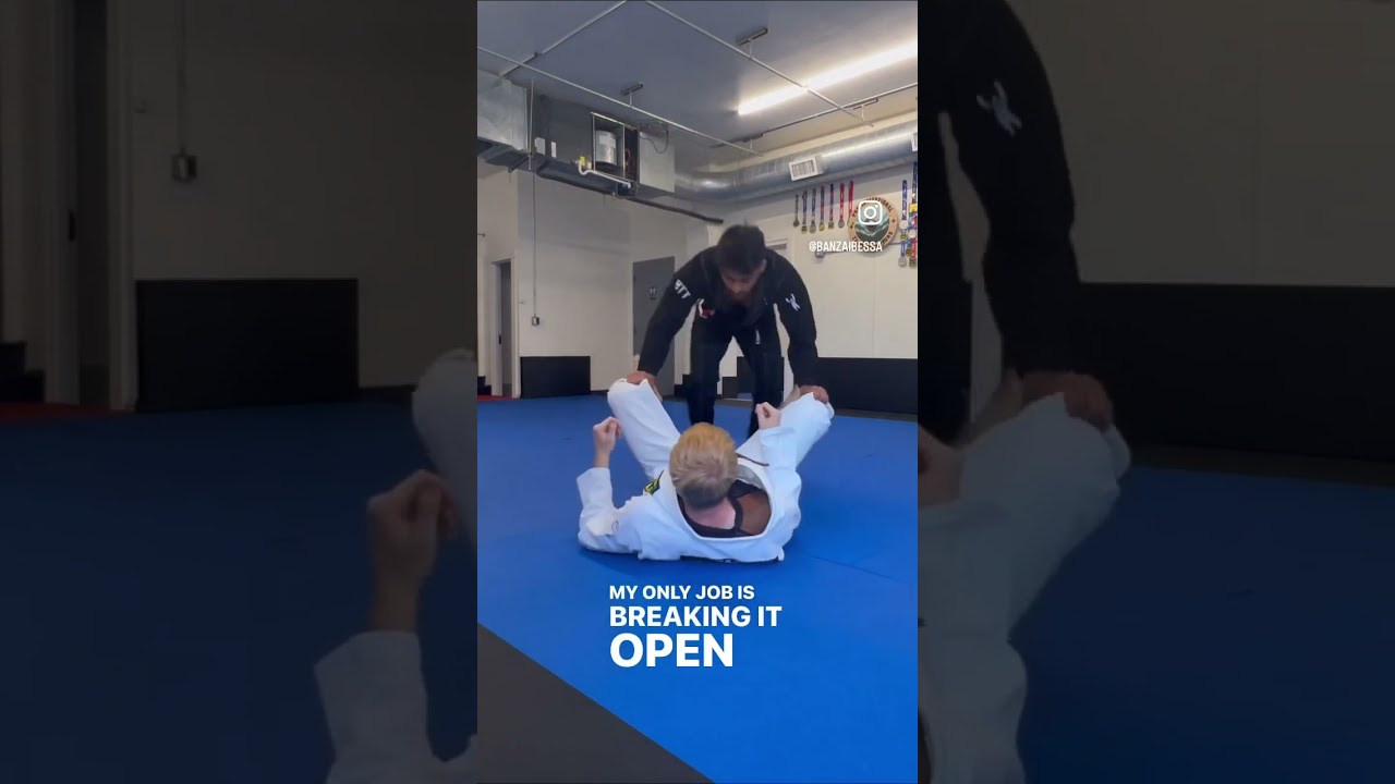 Jiu-Jitsu Fundamentals 