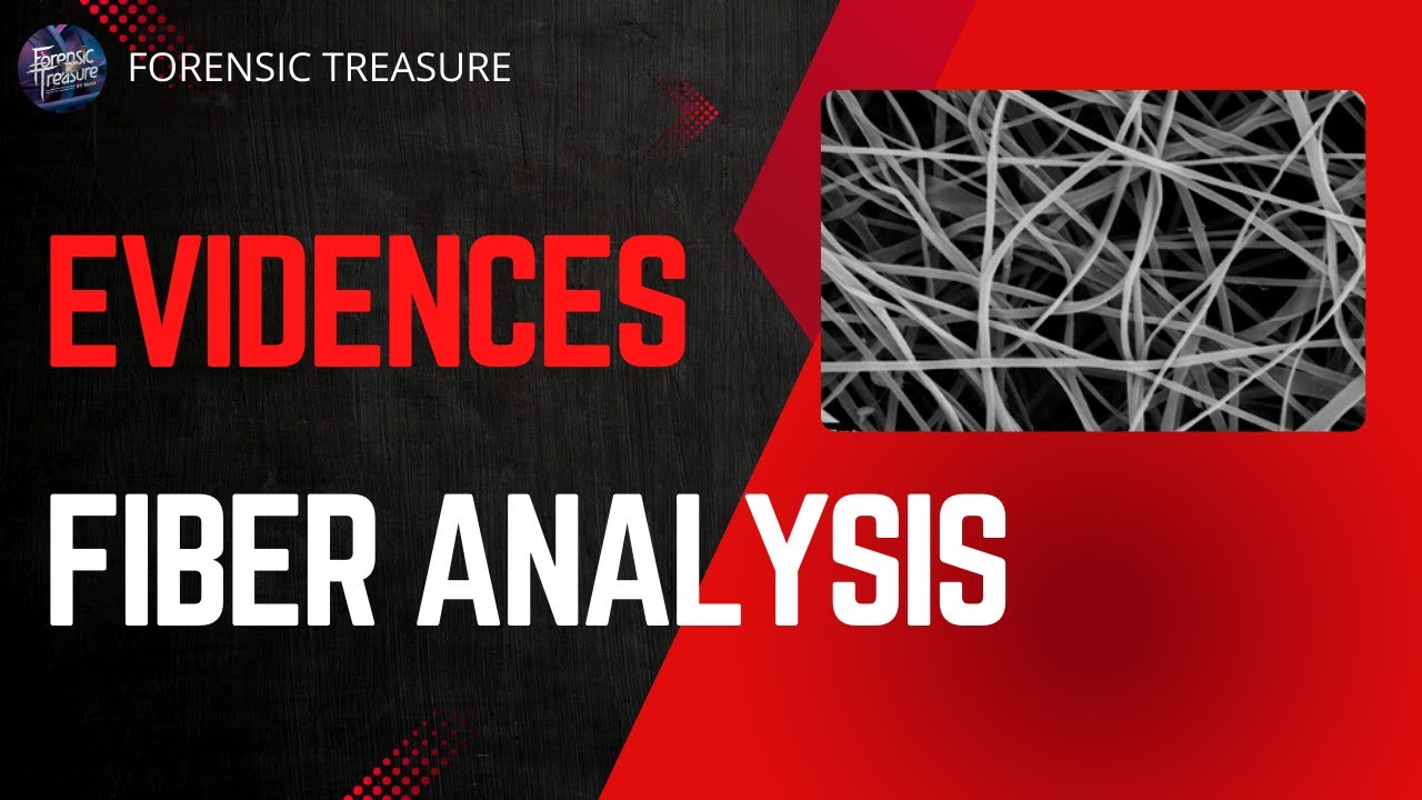 Evidence | Fiber Analysis