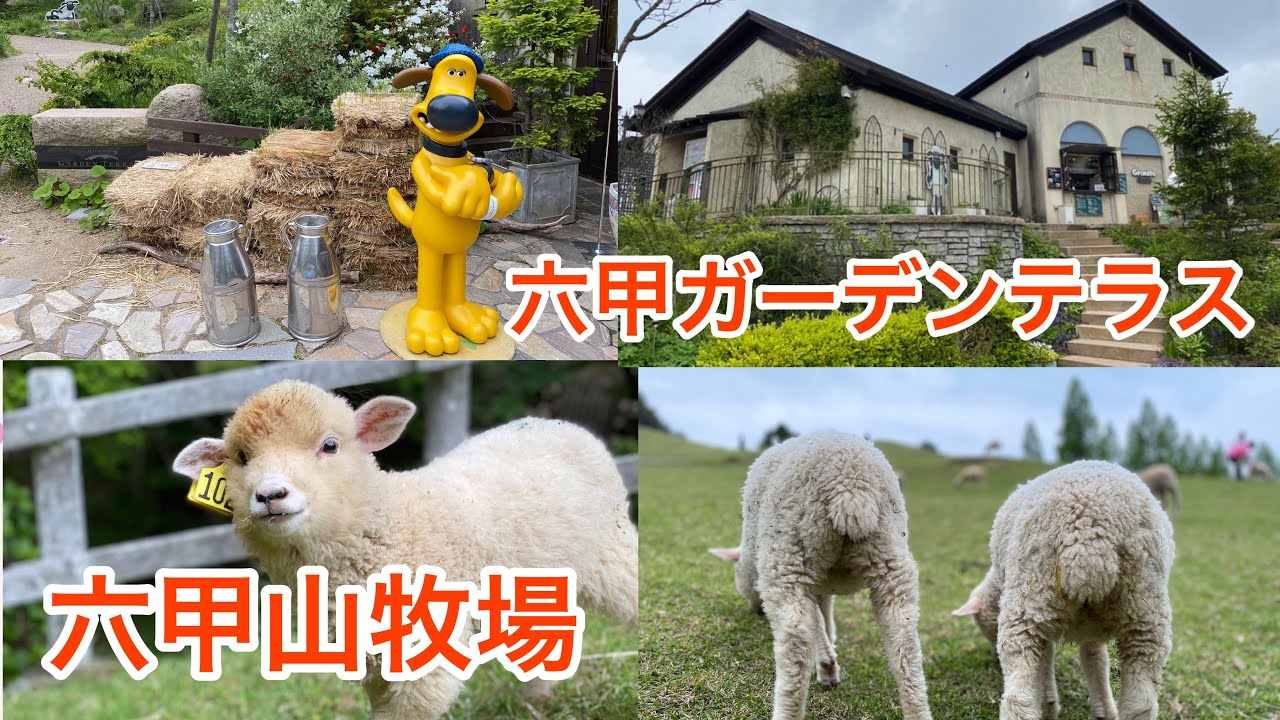 六甲山牧場　六甲ガーデンテラス　ひつじのショーン　2022/5/21