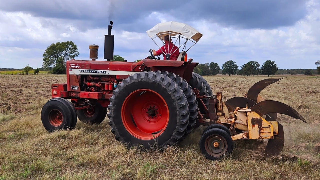 IH 1456 V-ripping