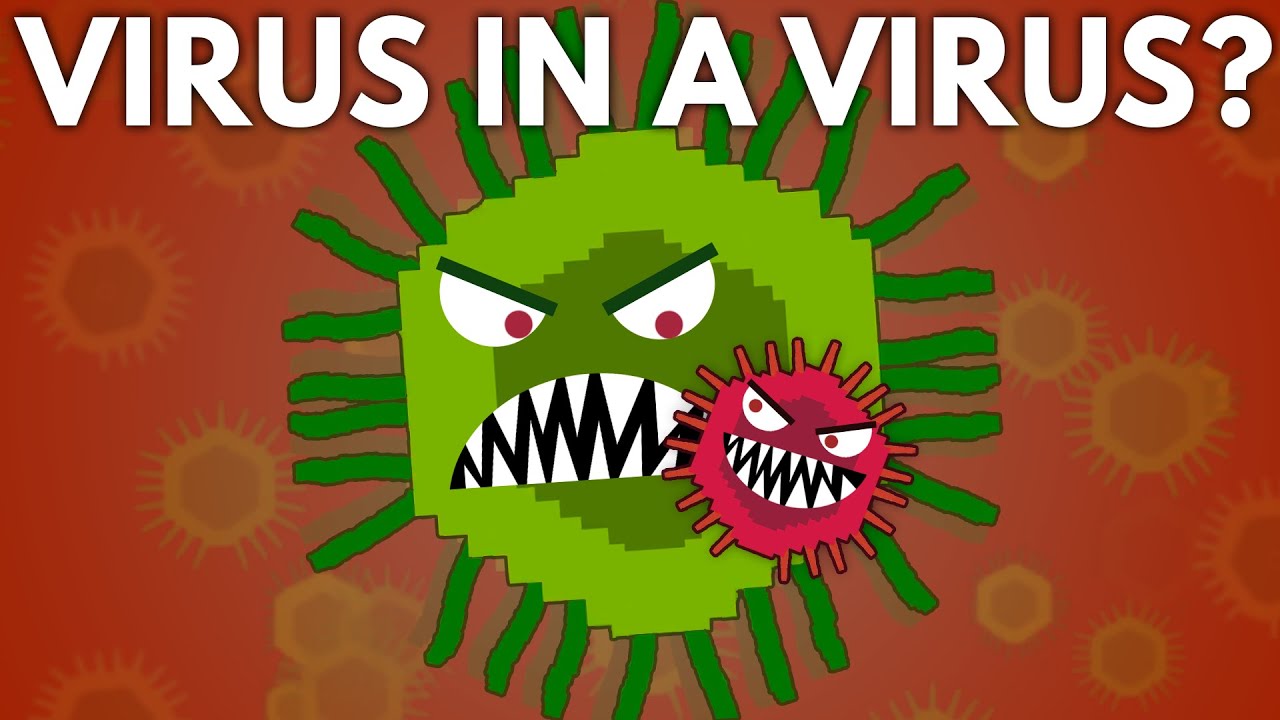 Can a Virus Get a Virus?