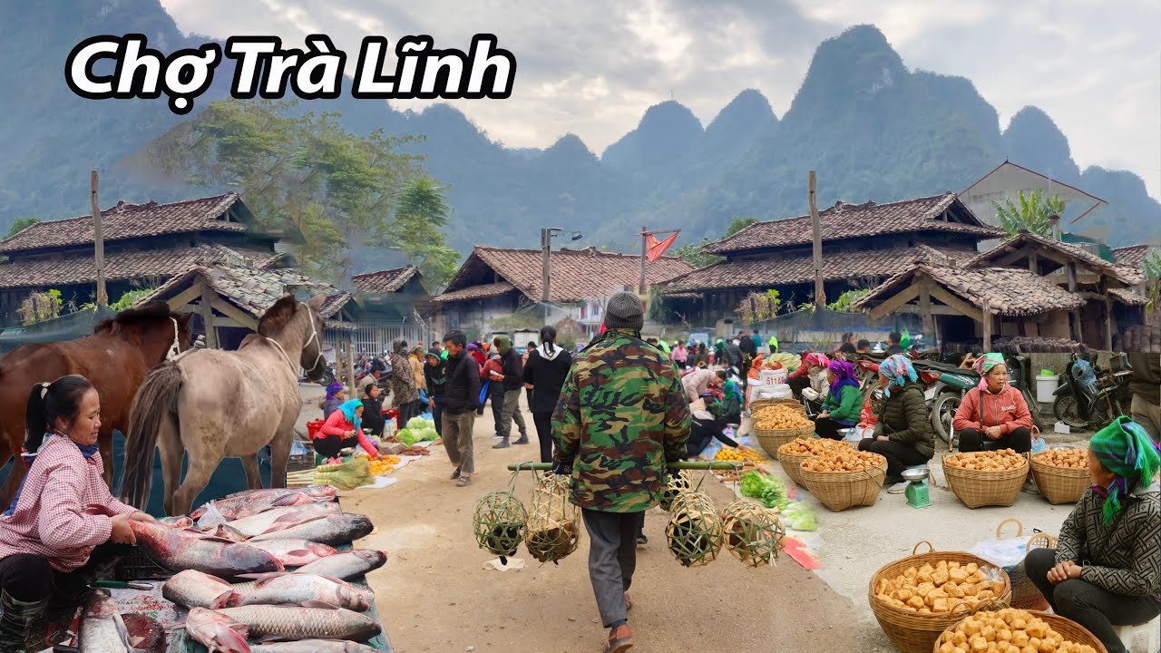 Chợ phiên Trà Lĩnh-Đầu mối giao thương hàng hoá-Gia súc của Cao Bằng với Trung Quốc