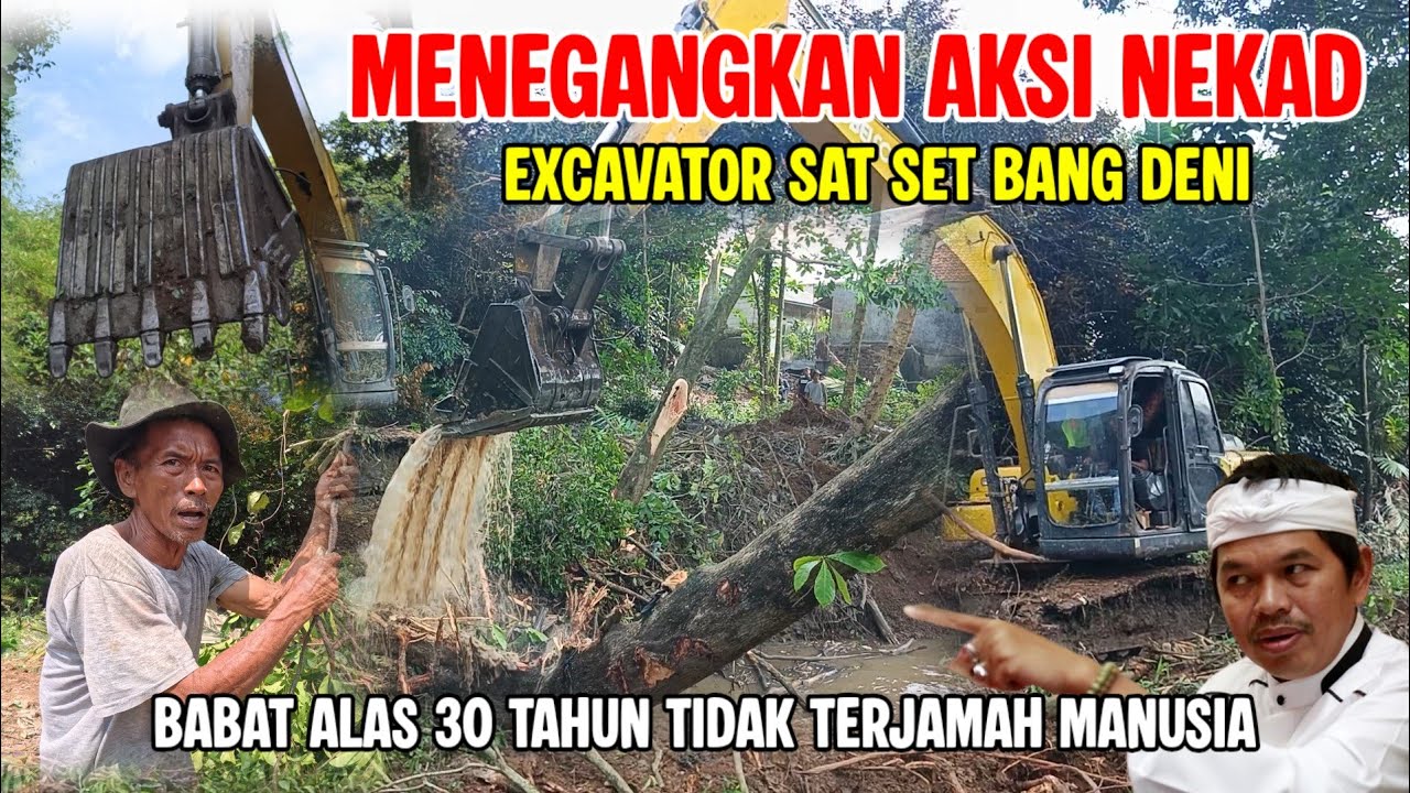 MENEGANGKAN ‼️AKSI NEKAD DENI SAT SET BABAD ALAS 30 TAHUN TERBENGKALAI #dedimulyadi 