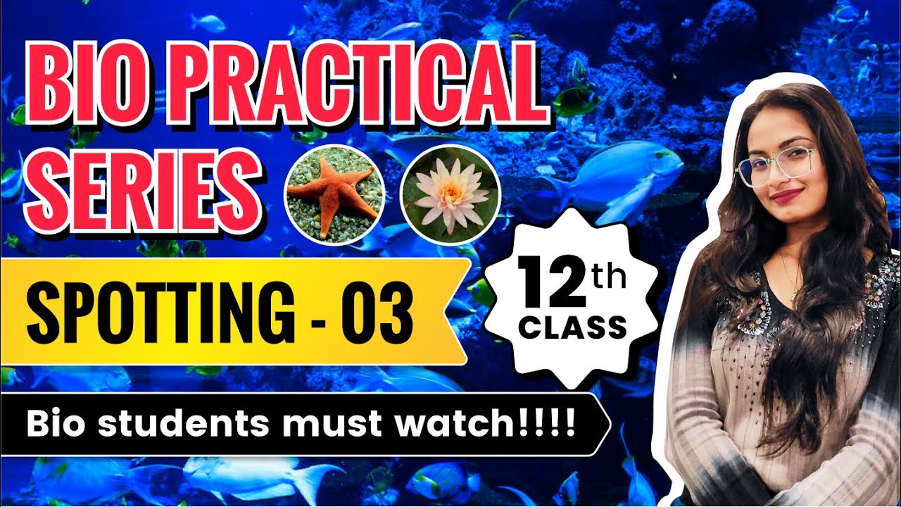How to do SPOTTING | part 03|| Biology Practical Class 12|| top coaching
