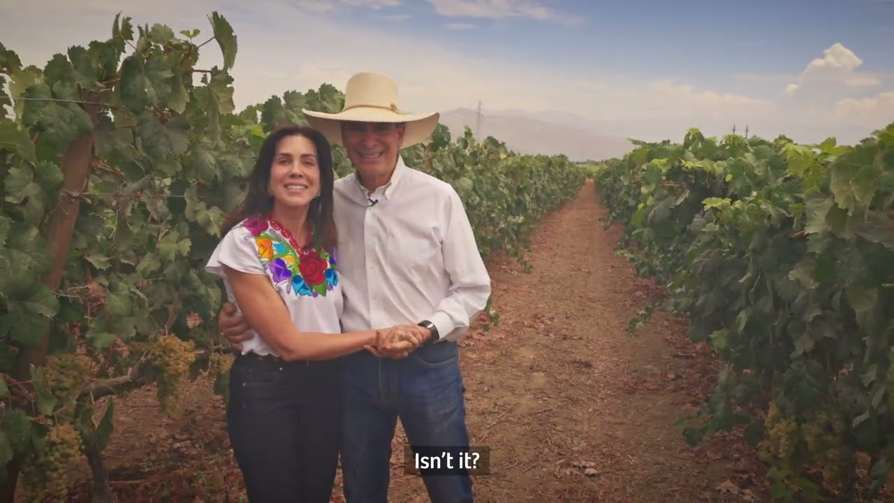 Meet José Antonio: The Story Behind Peru’s Unexpected Wine Scene