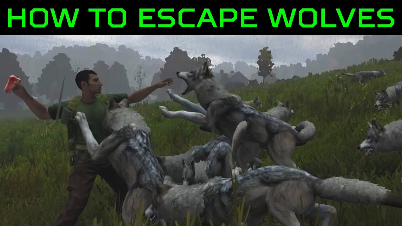 [OLD]Escape from wolves without a weapon in DayZ | Quick Tip #4
