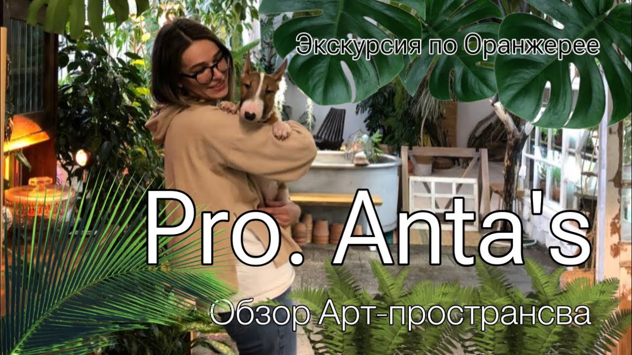 Обзорная экскурсия по Арт-пространсву Pro. Anta's || Прекрасное  Питере 🥰@proantas