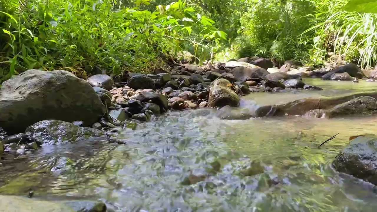 - NO MUSIC - 1 Hour of  Pure Trickling Water Sounds
