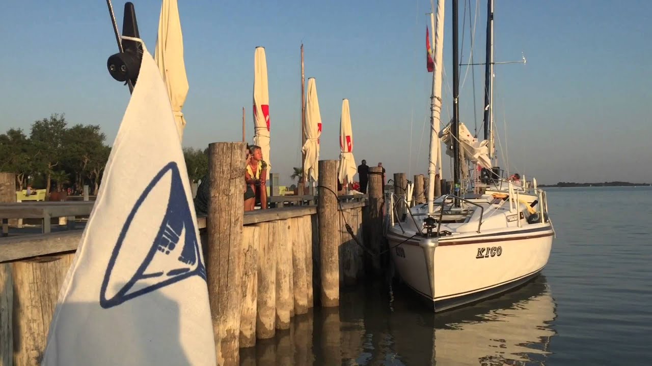 Shark Family Sailing