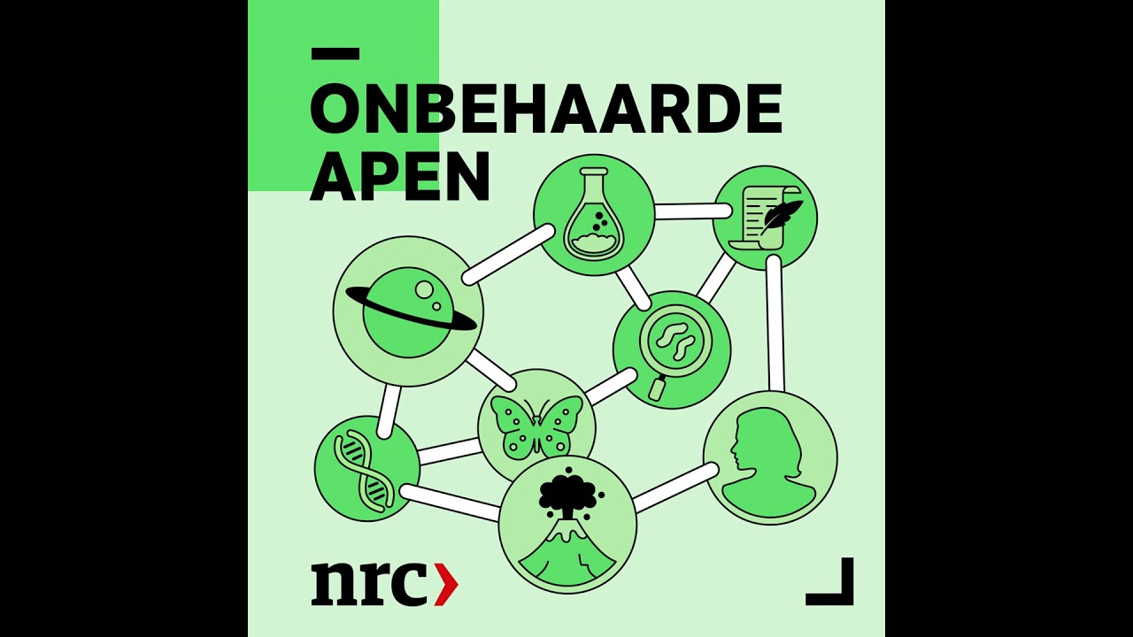 Resistente compostschimmel zorgt voor gevaar in Nederlandse ziekenhuizen