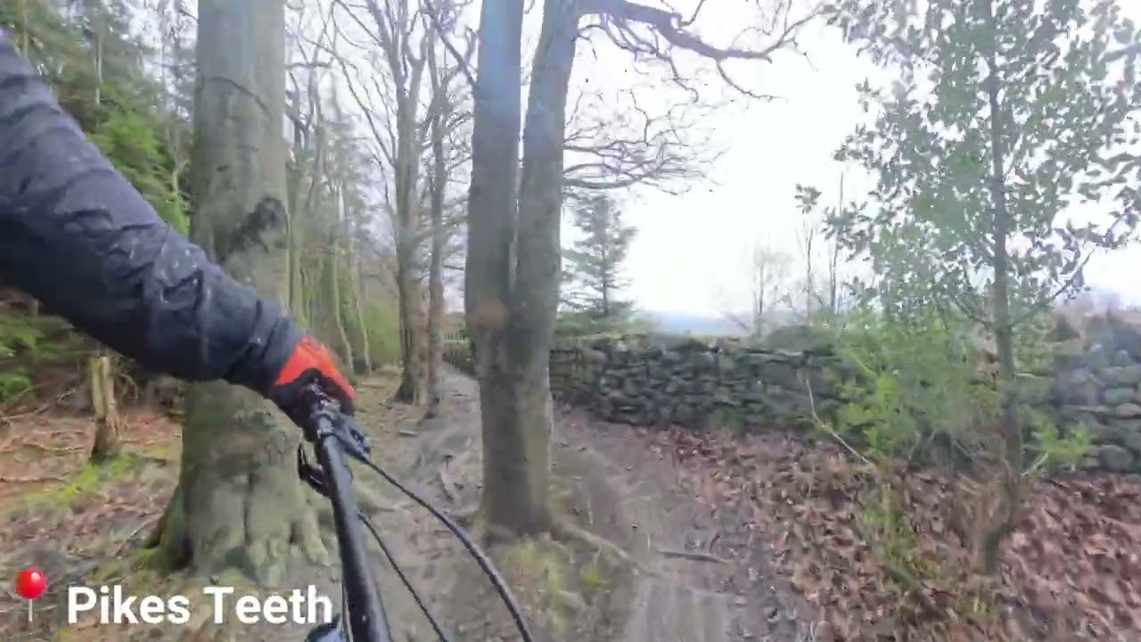 Hamsterley Forest Mountain Bike - Pikes Teeth (Black Grade)