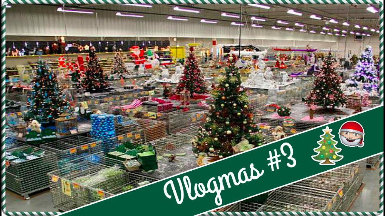 Soooo vieeeel WEIHNACHTSDEKO 😱 ⎮ Unsere Ausbeute ⎮ HAUL 🛍 ⎮ VLOGMAS #3 🎄 ⎮ Jessi