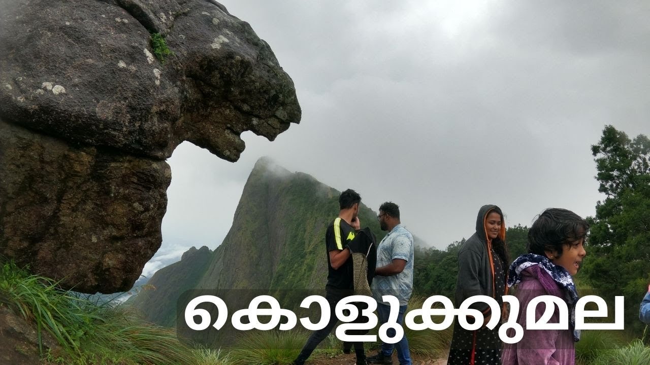 Kolukkumala, Suryanelli. കൊളുക്കുമല #kolukkumalai #idukki #keralatourism