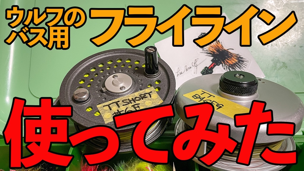 【インプレ】バス用フライライン２本を実釣＆試投で使い倒す　#フライフィッシング #バス釣り #釣り