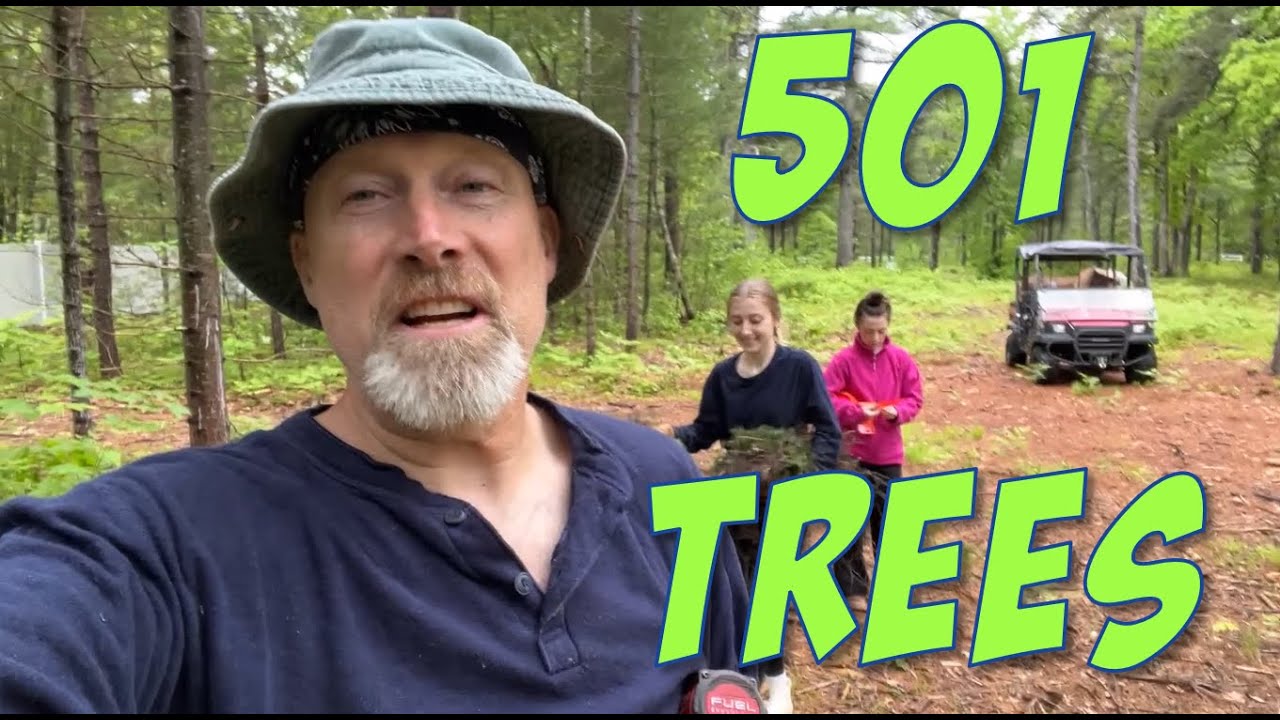 501 Trees Planted : Best Maine Campground : Campground Opposition