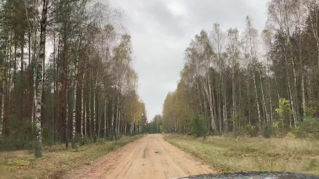 Droga szutrowa Zubacze- W&oacute;lka Nurzecka kier. Jancewicze