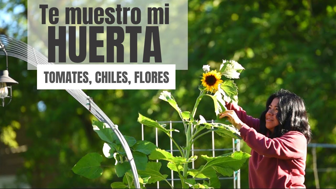 🌻🍅 🌿Paseo, Charla y Tips desde mi HUERTA en Casa