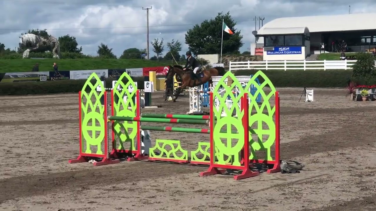 Cushlas Du Mondale (03-Aug-25) Mullingar - 5yo Rising Stars Final