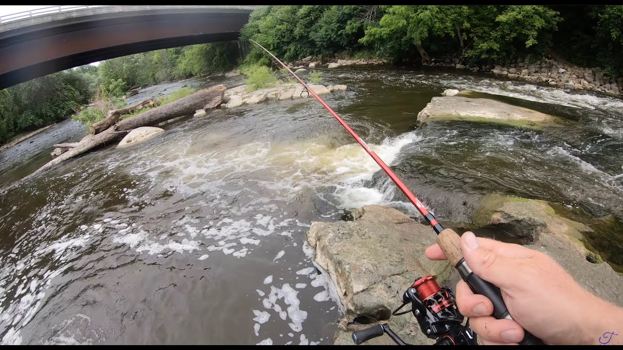 Smallmouth and Sucker Seam Smackdown