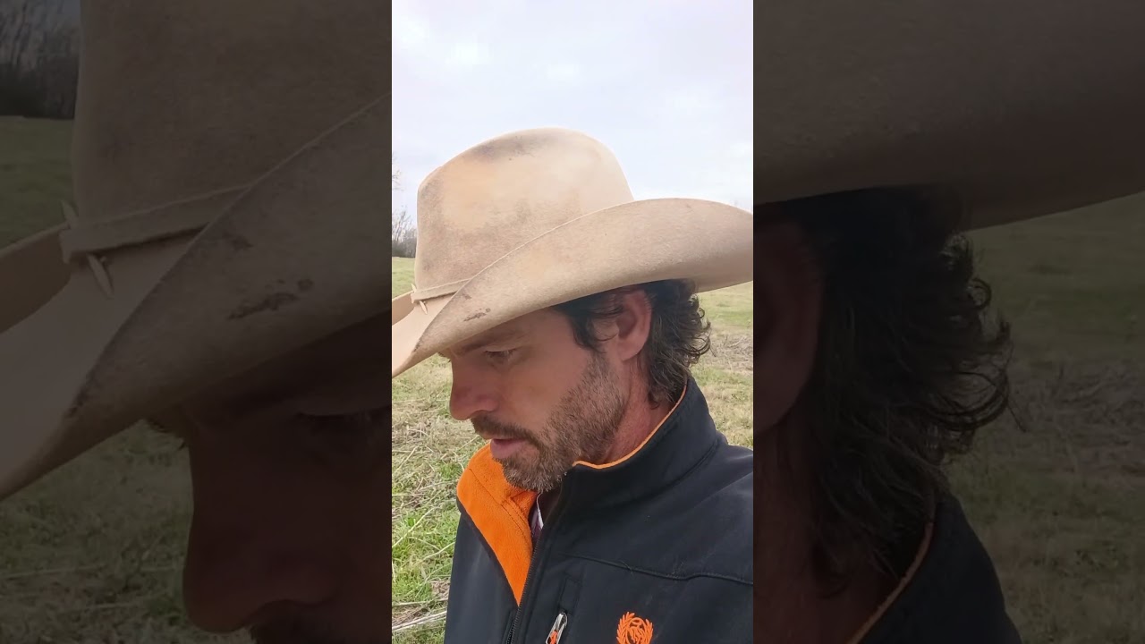 Всё дело в Иисусе.